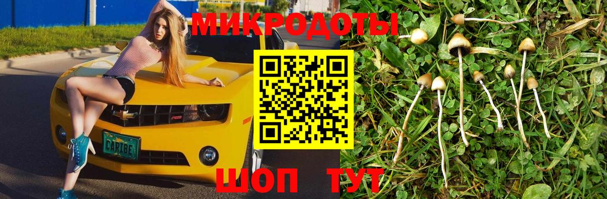 Псилоцибиновые грибы мухоморы Чехов