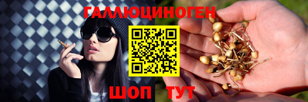 дарнет шоп  Псилоцибиновые грибы прущие грибы  Вход с VPN  Чехов 